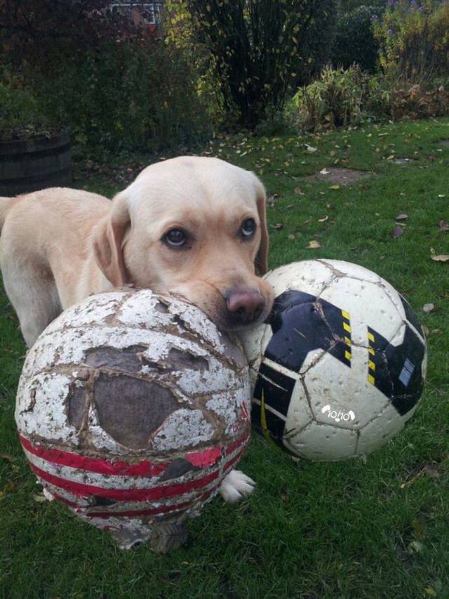 daily picdump 105 pics 3.html - 105 HD Photos | Premium Gallery 2018