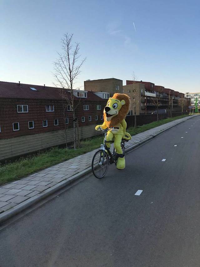 daily picdump 105 pics 3.html - 105 HD Photos | Premium Gallery 2018