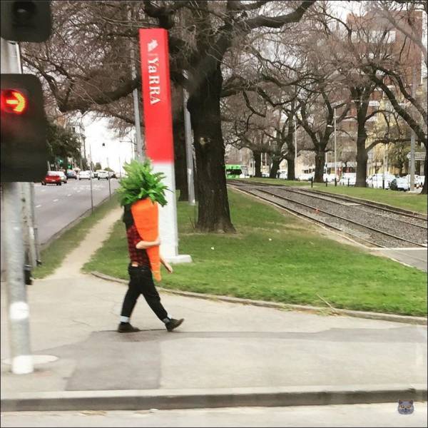 daily picdump 94 pics 45.html - 94 HD Photos | Premium Gallery 2018