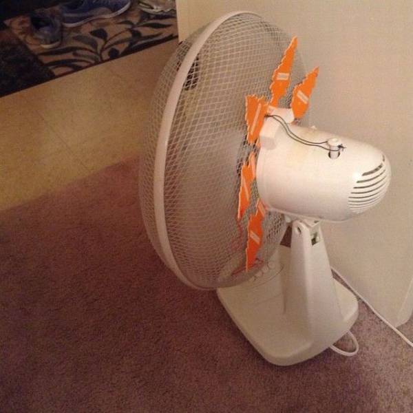 daily picdump 94 pics 45.html - 94 HD Photos | Premium Gallery 2018