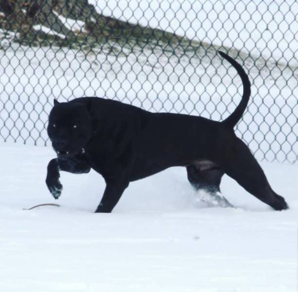 daily picdump 94 pics 45.html - 94 HD Photos | Premium Gallery 2018