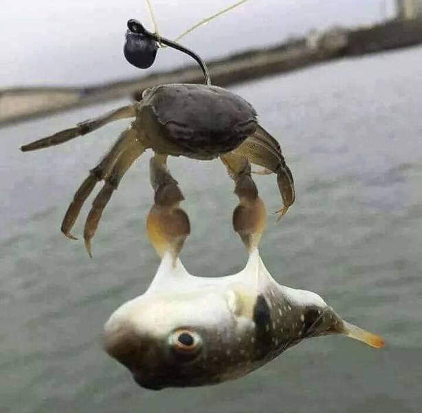 daily picdump 94 pics 45.html - 94 HD Photos | Premium Gallery 2018