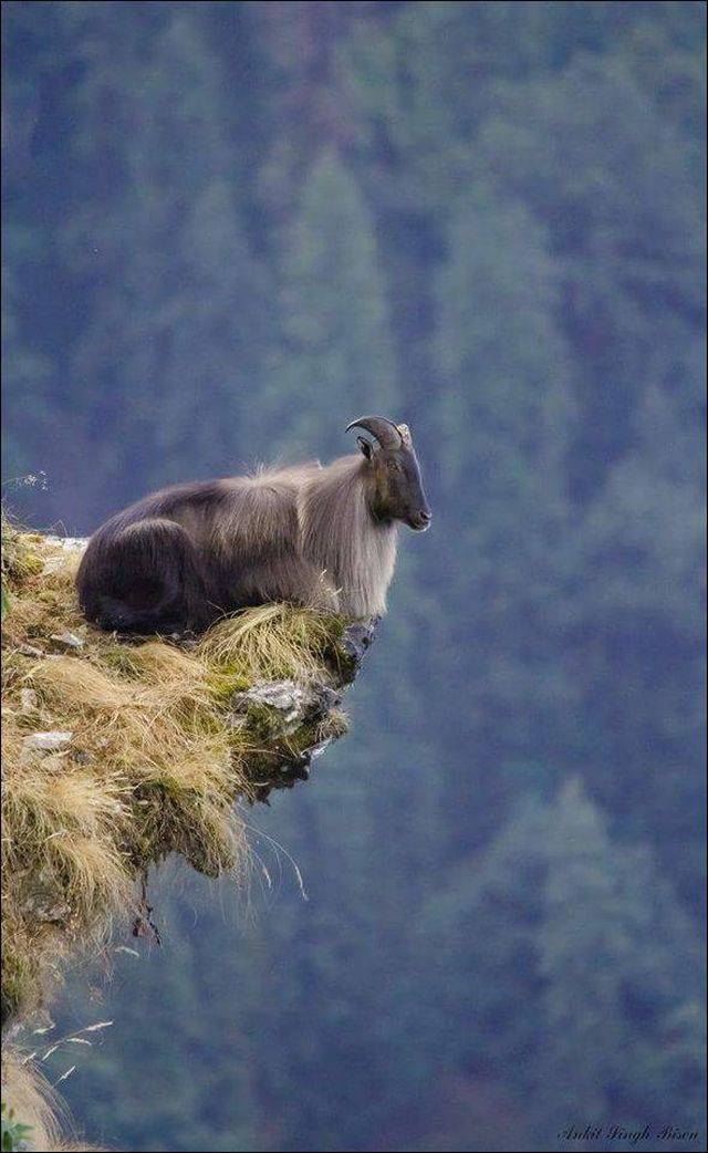 daily picdump 94 pics 45.html - 94 HD Photos | Premium Gallery 2018