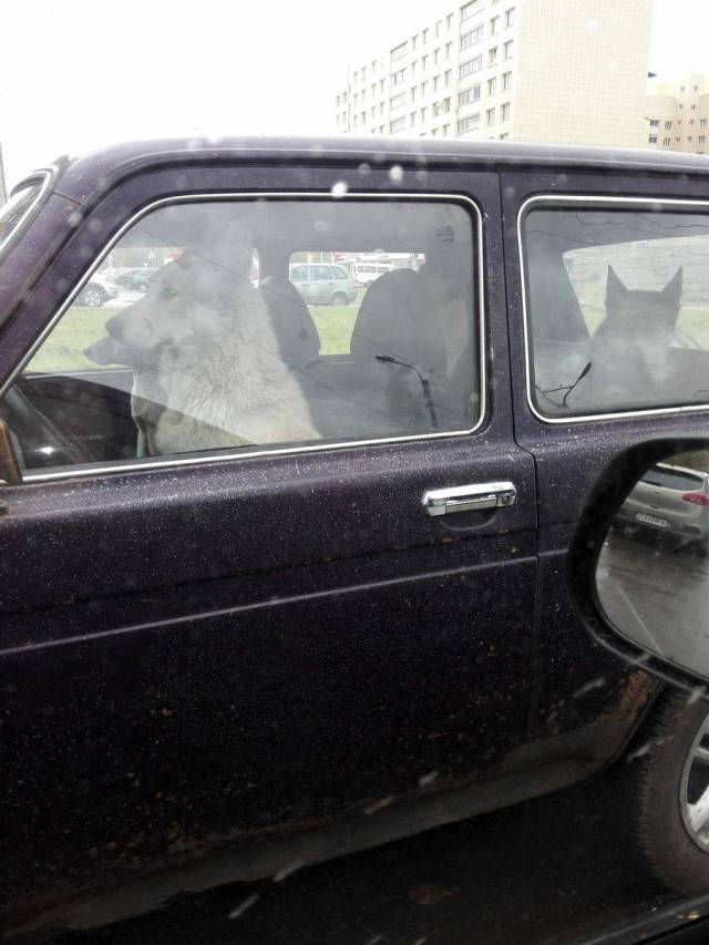 daily picdump 94 pics 45.html - 94 HD Photos | Premium Gallery 2018