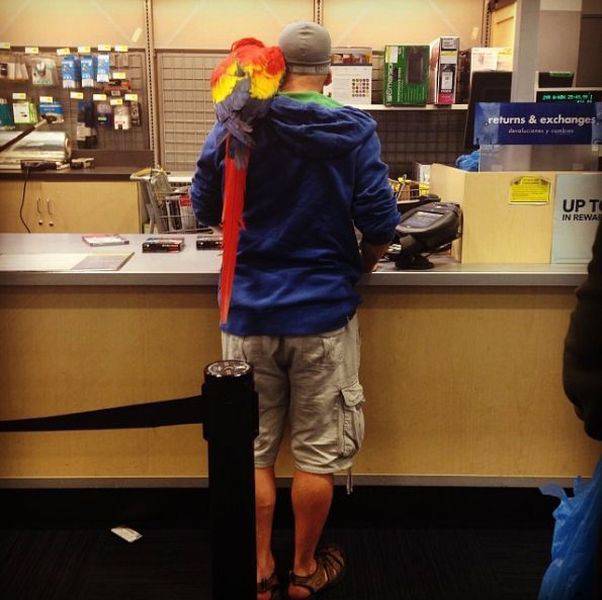 morning picdump 49 pics 17.html - 49 HD Photos | Premium Gallery 2018