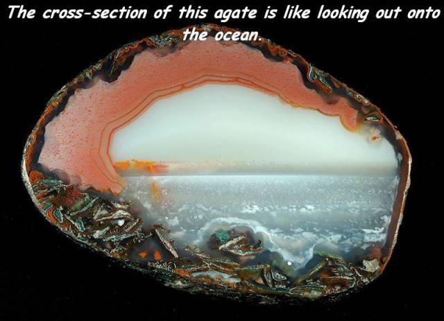 daily picdump weekend edition 66 pics 3.html - 66 HD Photos | Premium Gallery 2018