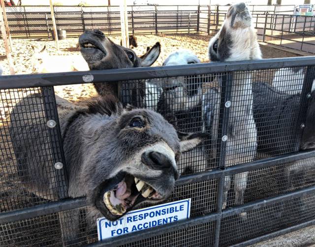 daily picdump weekend edition 66 pics 3.html - 66 HD Photos | Premium Gallery 2018