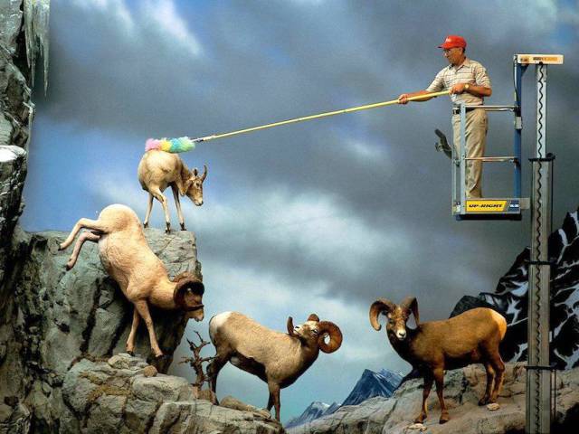 daily picdump weekend edition 66 pics 3.html - 66 HD Photos | Premium Gallery 2018