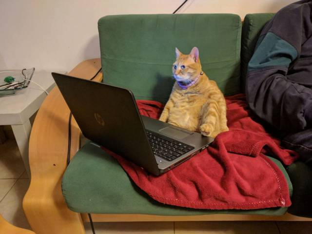 daily picdump weekend edition 66 pics 3.html - 66 HD Photos | Premium Gallery 2018