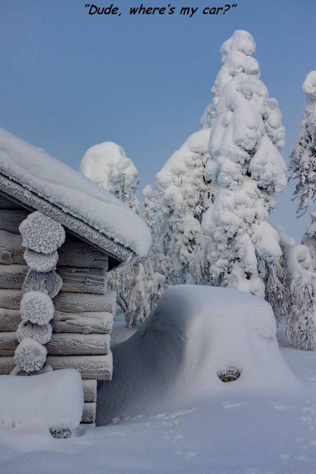 daily picdump weekend edition 66 pics 3.html - 66 HD Photos | Premium Gallery 2018