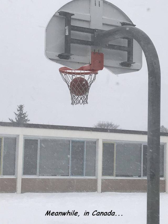 daily picdump weekend edition 66 pics 3.html - 66 HD Photos | Premium Gallery 2018