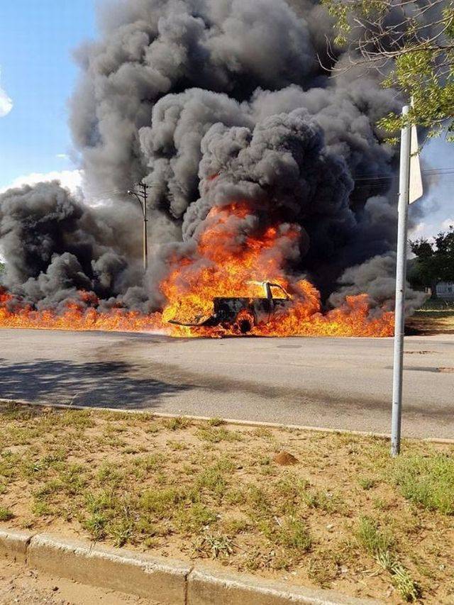 daily picdump weekend edition 66 pics 3.html - 66 HD Photos | Premium Gallery 2018