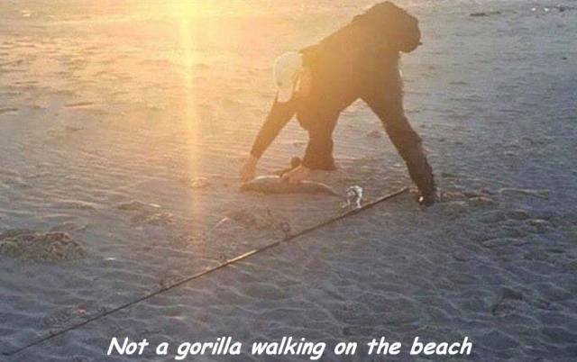 daily picdump 98 pics 14.html - 98 HD Photos | Premium Gallery 2018