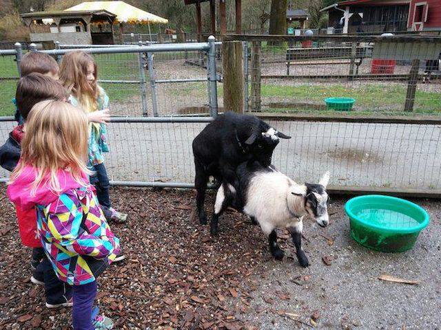 daily picdump 98 pics 14.html - 98 HD Photos | Premium Gallery 2018