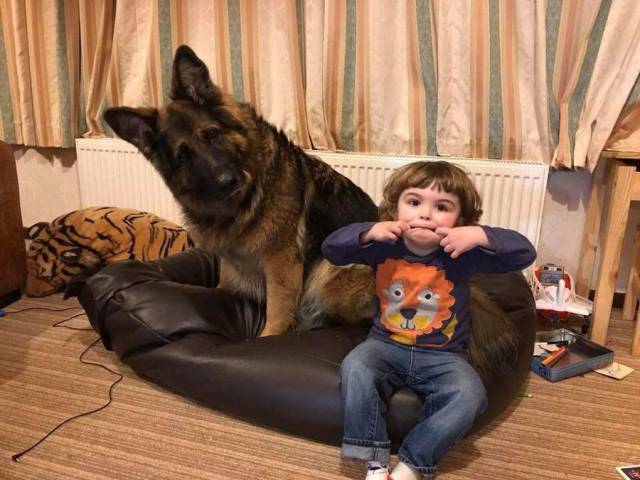 daily picdump 98 pics 14.html - 98 HD Photos | Premium Gallery 2018