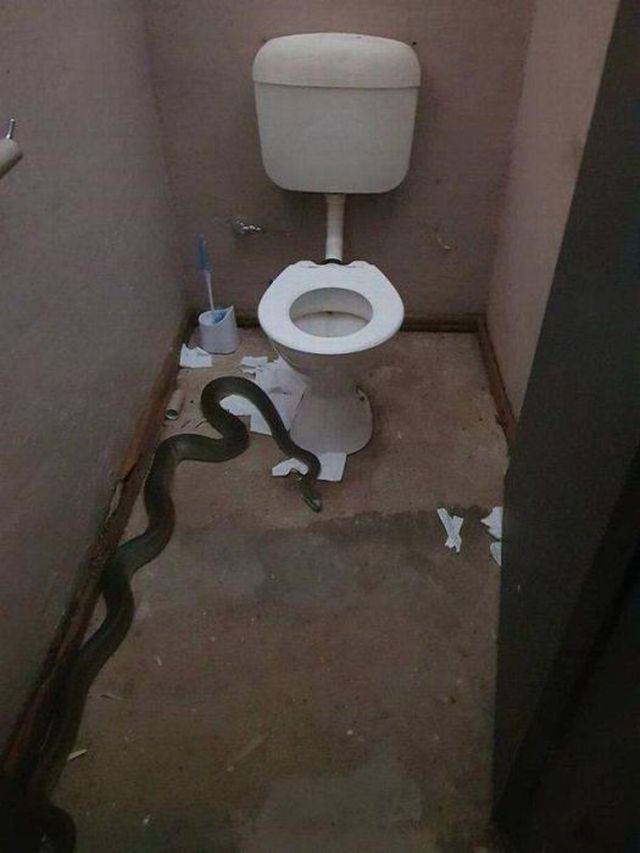 daily picdump 98 pics 14.html - 98 HD Photos | Premium Gallery 2018