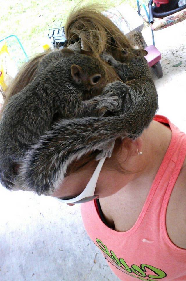 daily picdump 98 pics 14.html - 98 HD Photos | Premium Gallery 2018