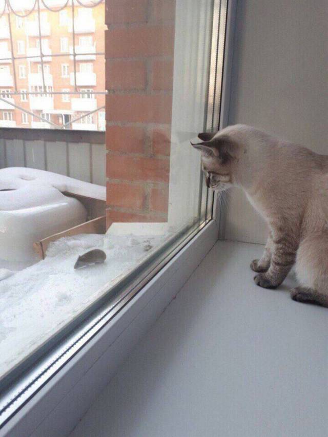 daily picdump 98 pics 14.html - 98 HD Photos | Premium Gallery 2018