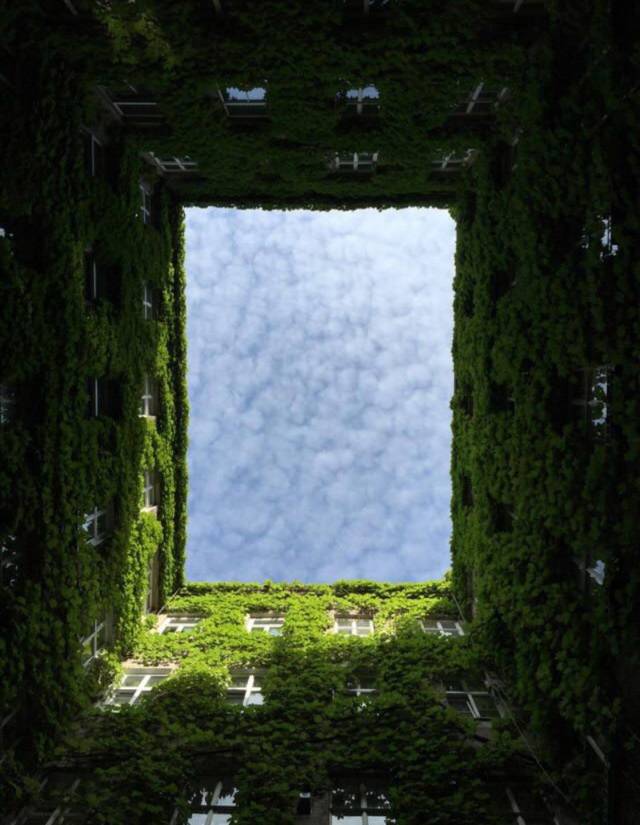 daily picdump 98 pics 14.html - 98 HD Photos | Premium Gallery 2018