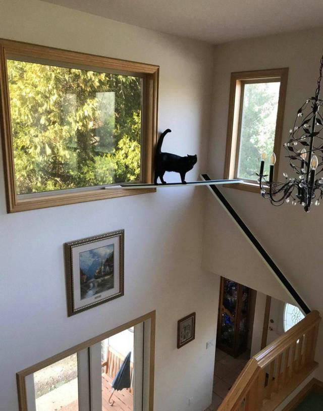 daily picdump 98 pics 14.html - 98 HD Photos | Premium Gallery 2018