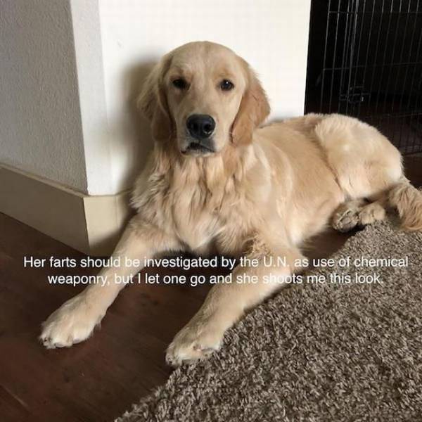 daily picdump 99 pics 45.html - 99 HD Photos | Premium Gallery 2018