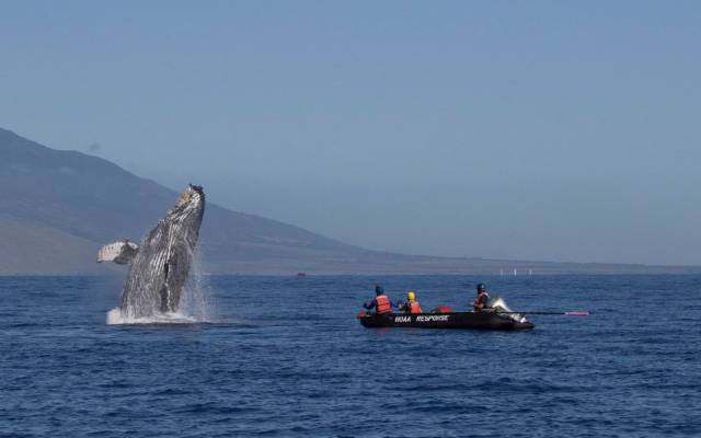 daily picdump 99 pics 45.html - 99 HD Photos | Premium Gallery 2018