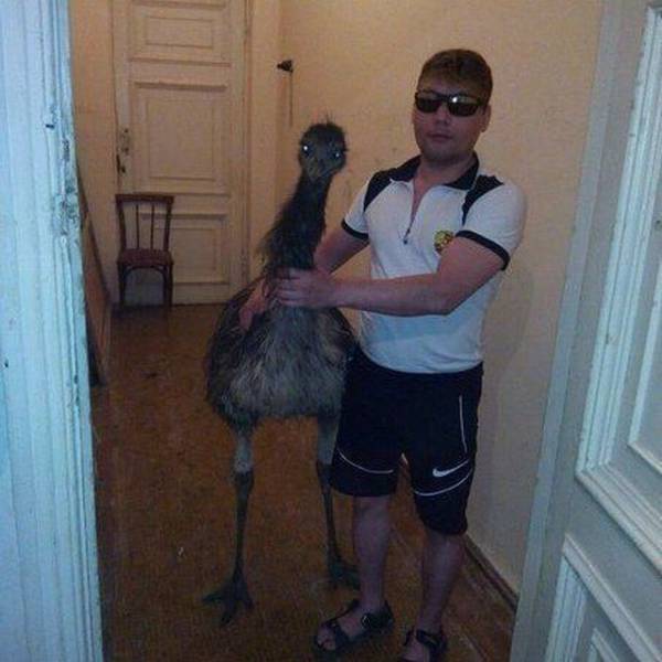 daily picdump 99 pics 45.html - 99 HD Photos | Premium Gallery 2018