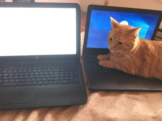 daily picdump 99 pics 45.html - 99 HD Photos | Premium Gallery 2018