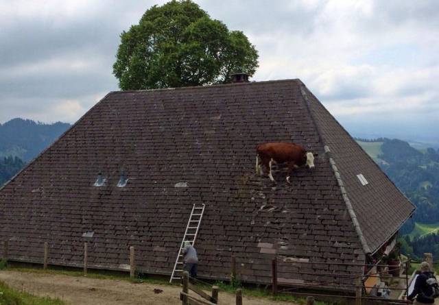 daily picdump 99 pics 45.html - 99 HD Photos | Premium Gallery 2018