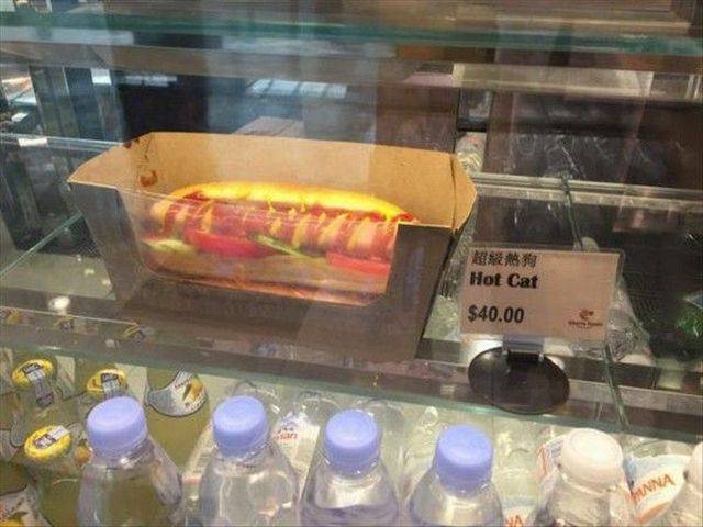 daily picdump 99 pics 45.html - 99 HD Photos | Premium Gallery 2018