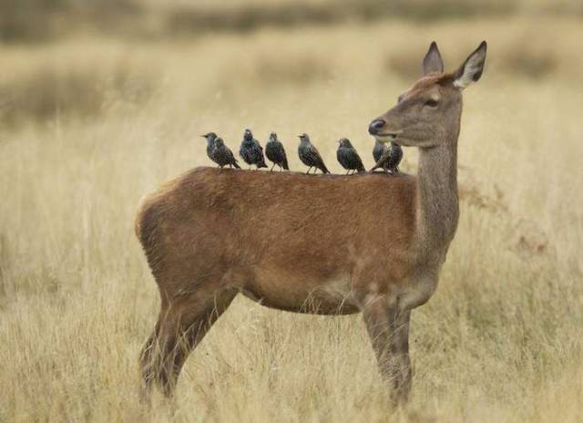 daily picdump 99 pics 45.html - 99 HD Photos | Premium Gallery 2018