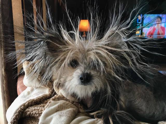 daily picdump 99 pics 45.html - 99 HD Photos | Premium Gallery 2018