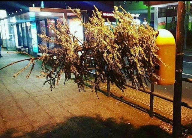 daily picdump 99 pics 45.html - 99 HD Photos | Premium Gallery 2018