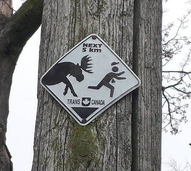 daily picdump 99 pics 45.html - 99 HD Photos | Premium Gallery 2018