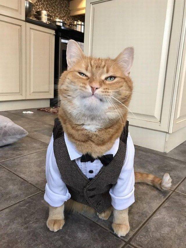 daily picdump 99 pics 45.html - 99 HD Photos | Premium Gallery 2018