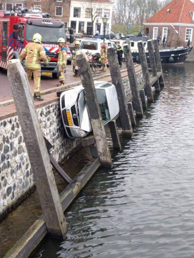 daily picdump 99 pics 45.html - 99 HD Photos | Premium Gallery 2018