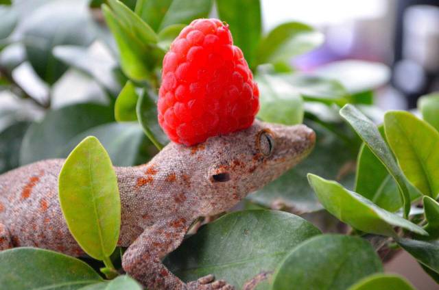 morning picdump 51 pics 3.html - 51 HD Photos | Premium Gallery 2018