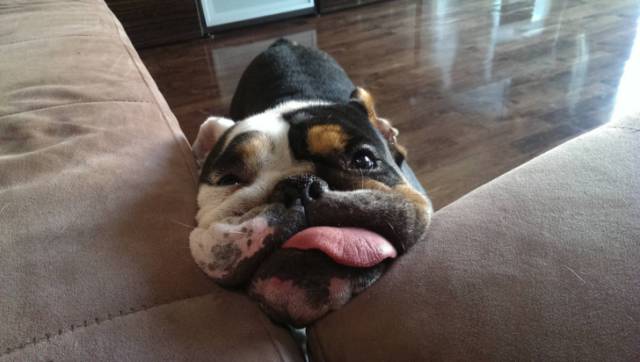 morning picdump 51 pics 3.html - 51 HD Photos | Premium Gallery 2018