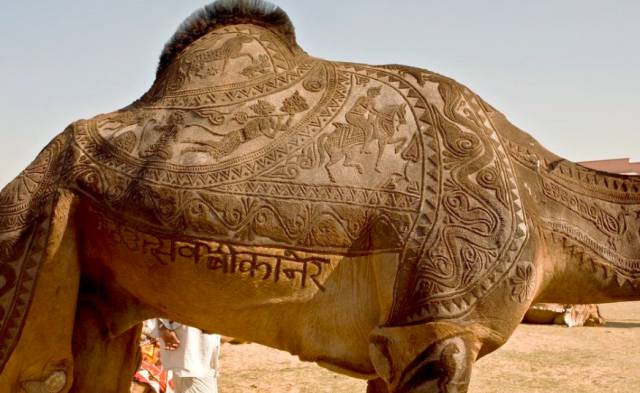 morning picdump 51 pics 3.html - 51 HD Photos | Premium Gallery 2018