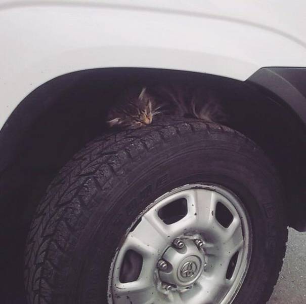 morning picdump 51 pics 3.html - 51 HD Photos | Premium Gallery 2018