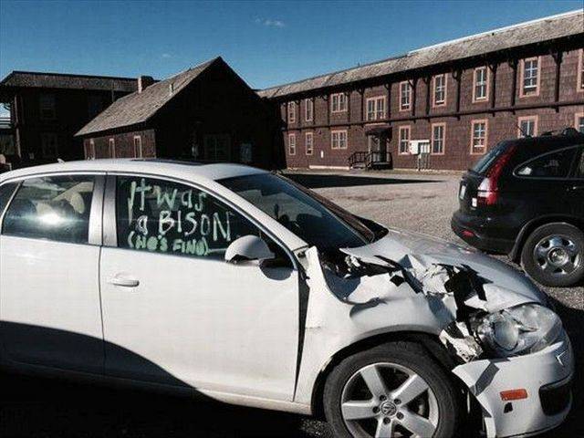 daily picdump 94 pics 7.html - 94 HD Photos | Premium Gallery 2018