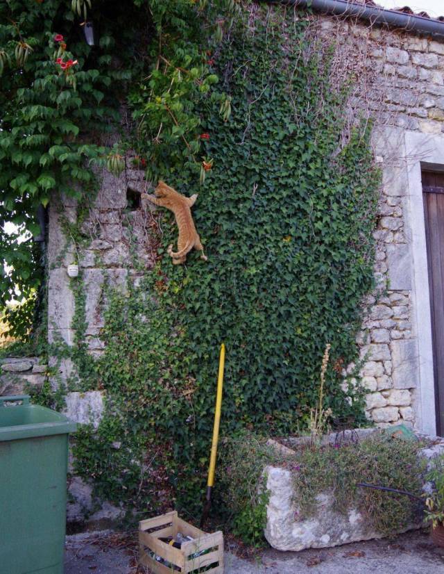 daily picdump 94 pics 7.html - 94 HD Photos | Premium Gallery 2018