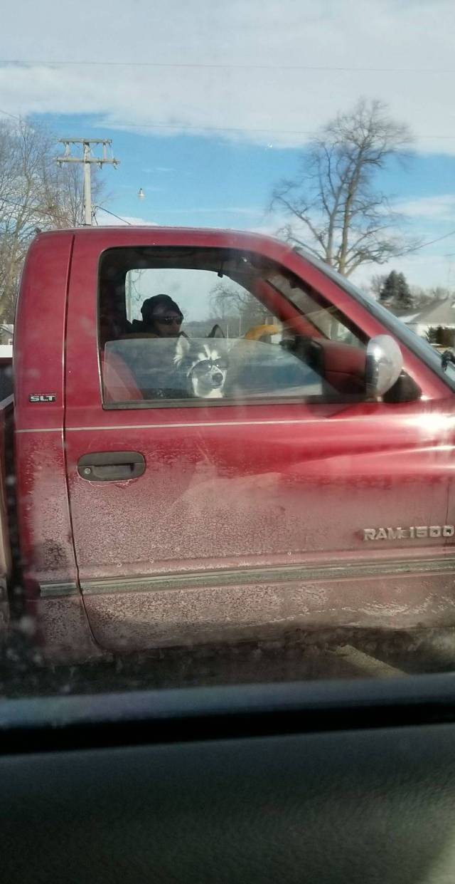 daily picdump 94 pics 7.html - 94 HD Photos | Premium Gallery 2018