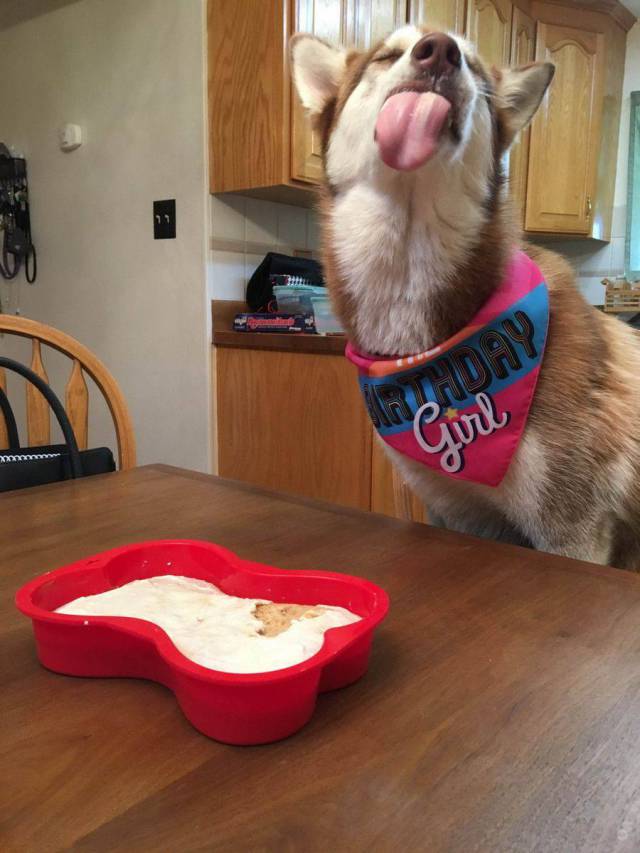 daily picdump 94 pics 7.html - 94 HD Photos | Premium Gallery 2018