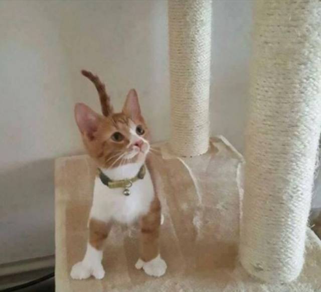 morning picdump 56 pics 19.html - 56 HD Photos | Premium Gallery 2018