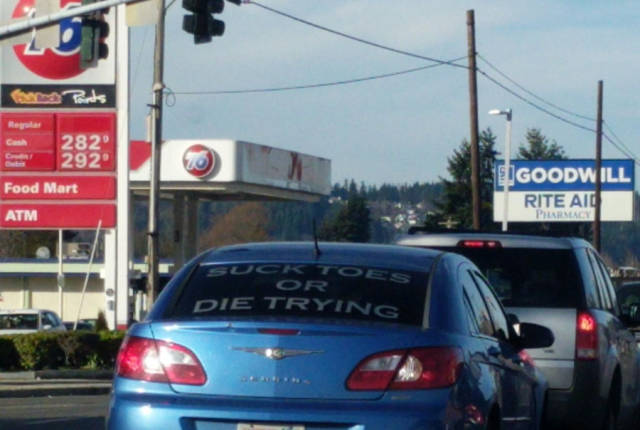 morning picdump 56 pics 19.html - 56 HD Photos | Premium Gallery 2018