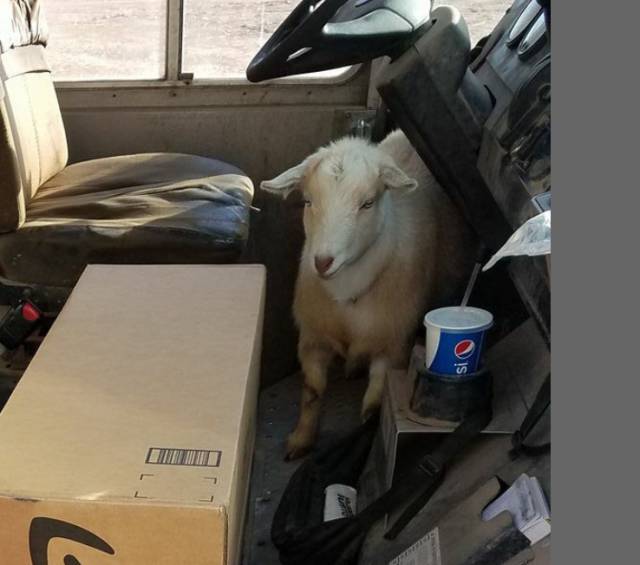 morning picdump 56 pics 19.html - 56 HD Photos | Premium Gallery 2018