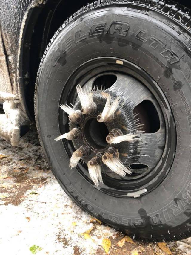 morning picdump 56 pics 19.html - 56 HD Photos | Premium Gallery 2018