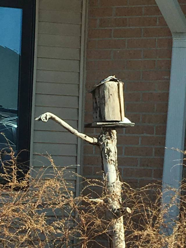 morning picdump 56 pics 19.html - 56 HD Photos | Premium Gallery 2018