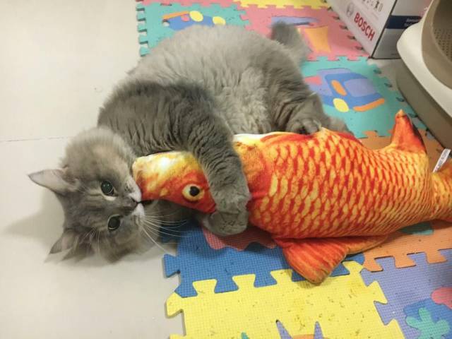 daily picdump 93 pics 3.html - 93 HD Photos | Premium Gallery 2018